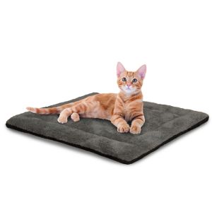 Cat Heated Beds