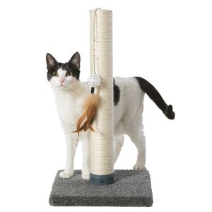 Cat Scratchers - PetMart