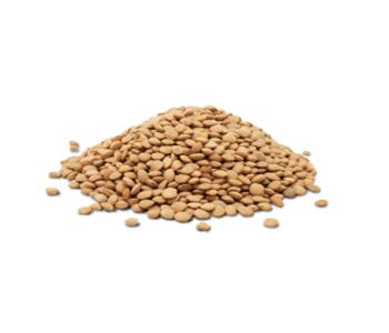 Dog Dry Food