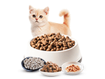Cat Food and Treats - PetMart