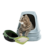 Cat Litter and Accessories - PetMart
