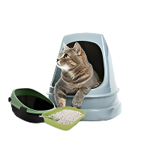 Cat Litter and Accessories