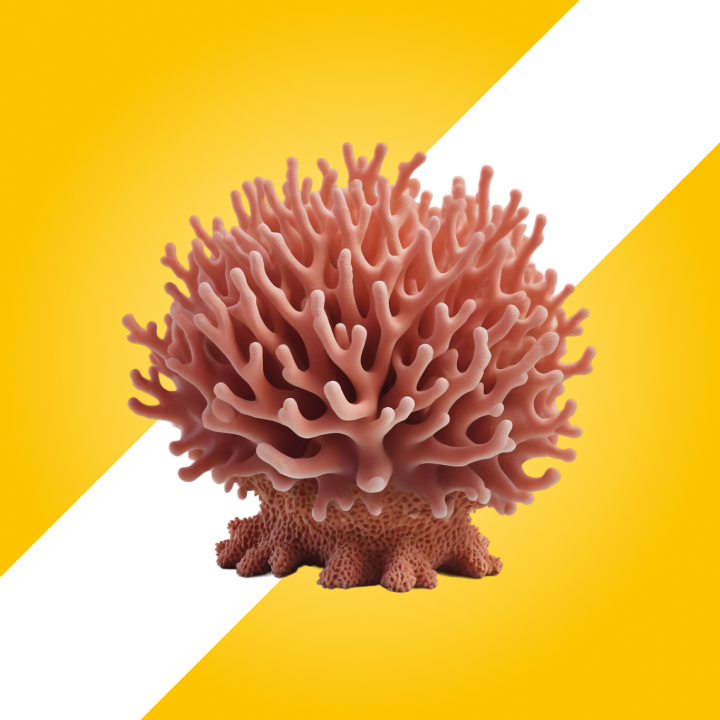 Live Marine Fish and Corals