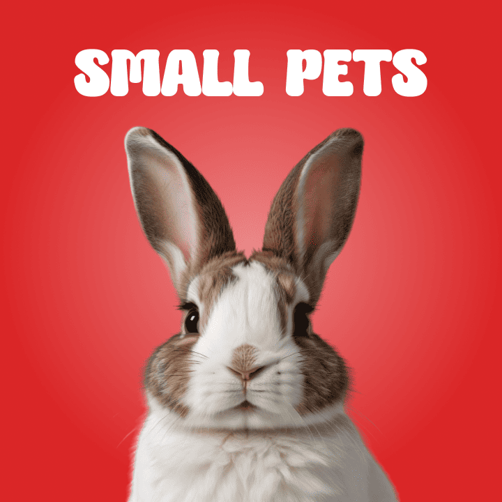 Small Pets Products
