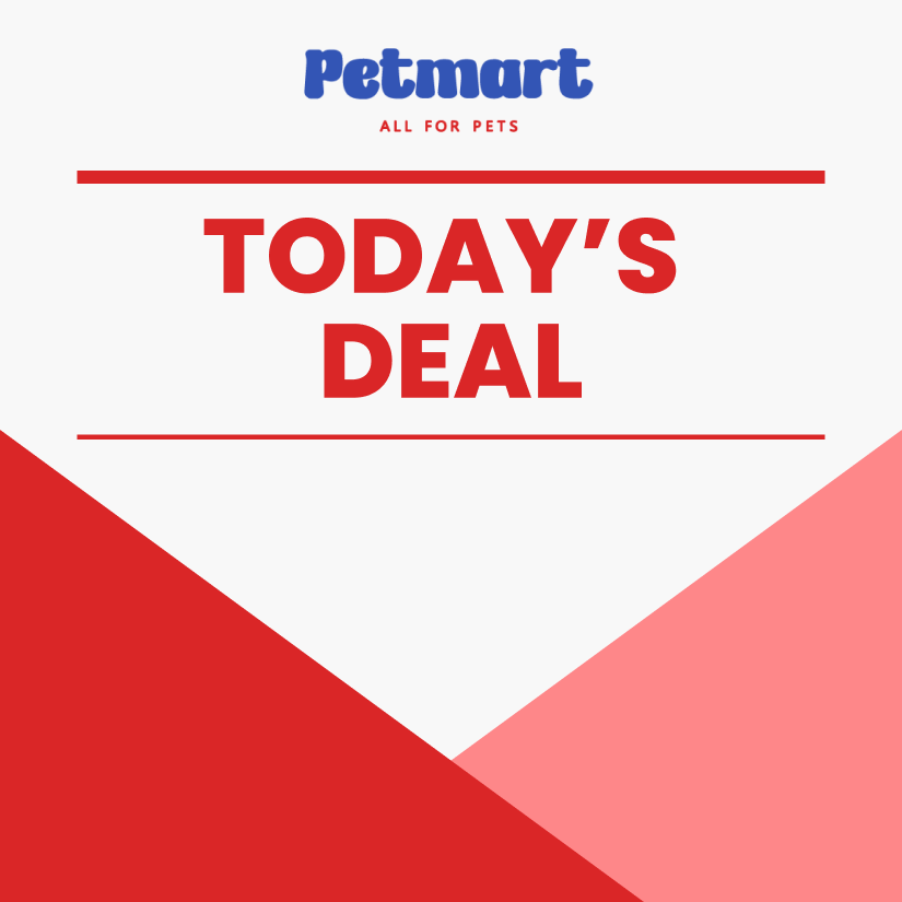Today's Deal