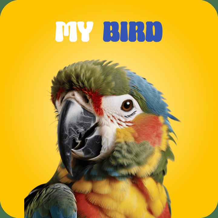 Bird - PetMart