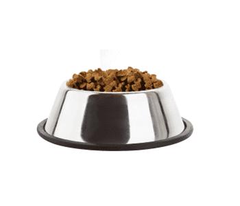 Puppy Food