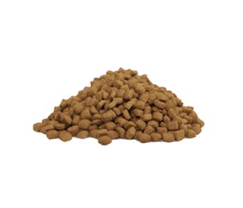 Dog Wet Food