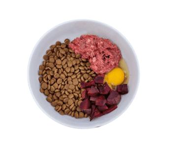 Dog Vet Food