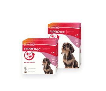Dog Flea and Tick