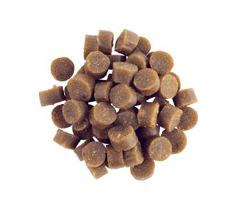 Puppy Treats