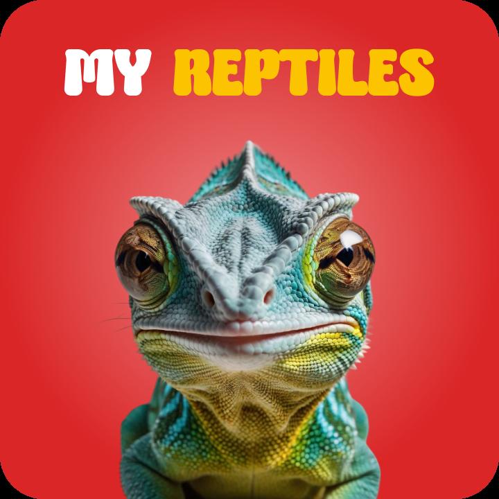 Reptile - PetMart