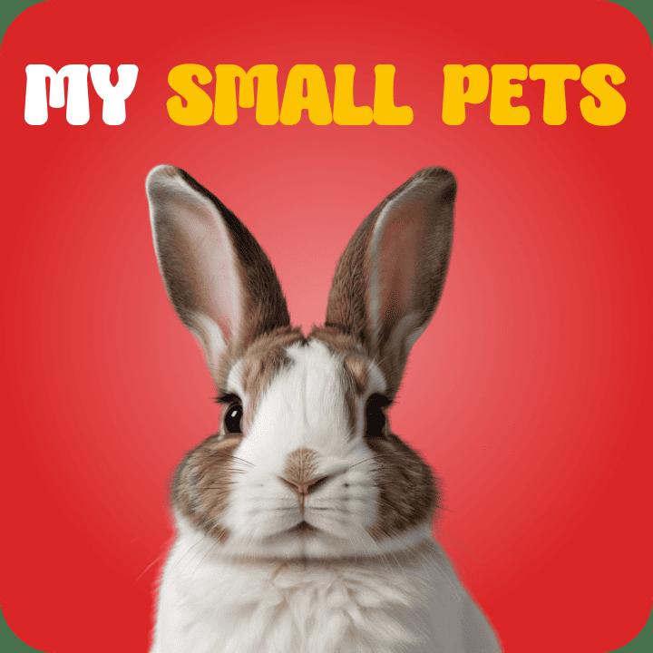 Small Pet - PetMart