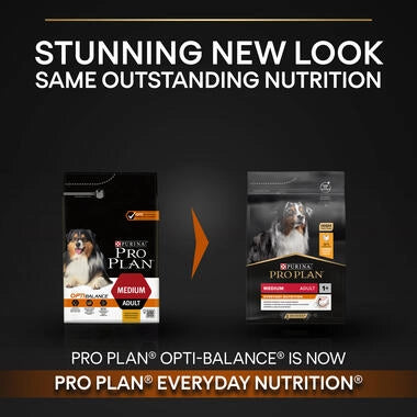 Pro Plan Everyday Nutrition Medium Adult, Dry Dog food with Chicken, 3 kg