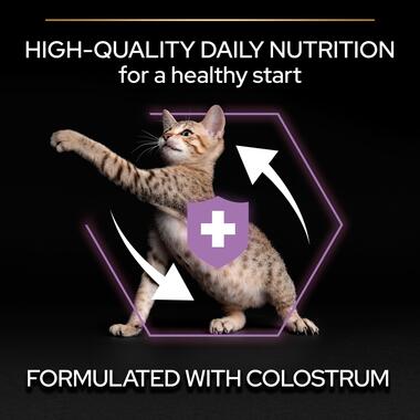 Pro Plan Kitten Healthy Start Dry Cat Food with Chicken, 1.5 kg