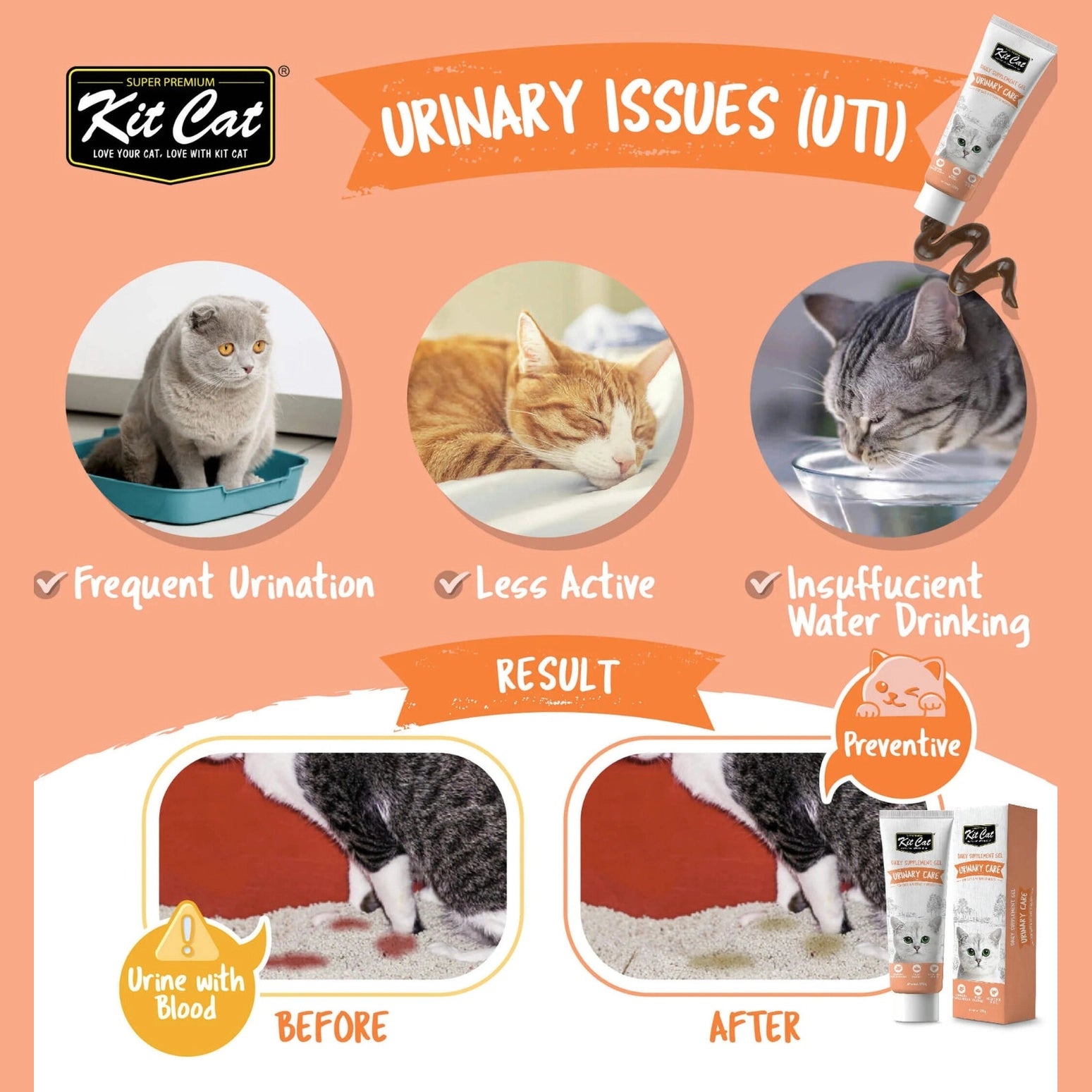 Kit Cat Daily Supplement Gel 120g Urinary Care