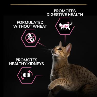 Pro Plan Adult Vital Functions Everyday Dry Cat Food with Salmon, 1.5 kg