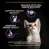 Pro Plan Kitten Healthy Start Dry Cat Food with Chicken, 1.5 kg