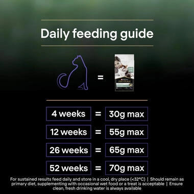 Pro Plan LiveClear Kitten, Allergen Reducing Dry Cat Food with Turkey 1.4 kg