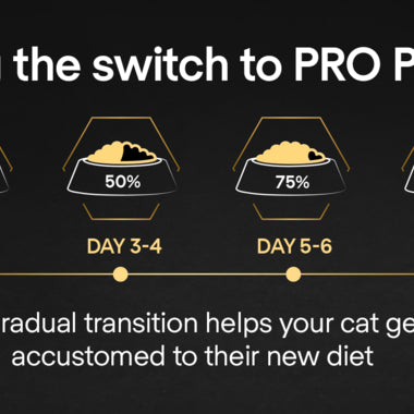 Pro Plan Adult Delicate Digestion, Dry Cat Food with Turkey, 1.5 kg