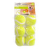 Fetch Balls 6/pk