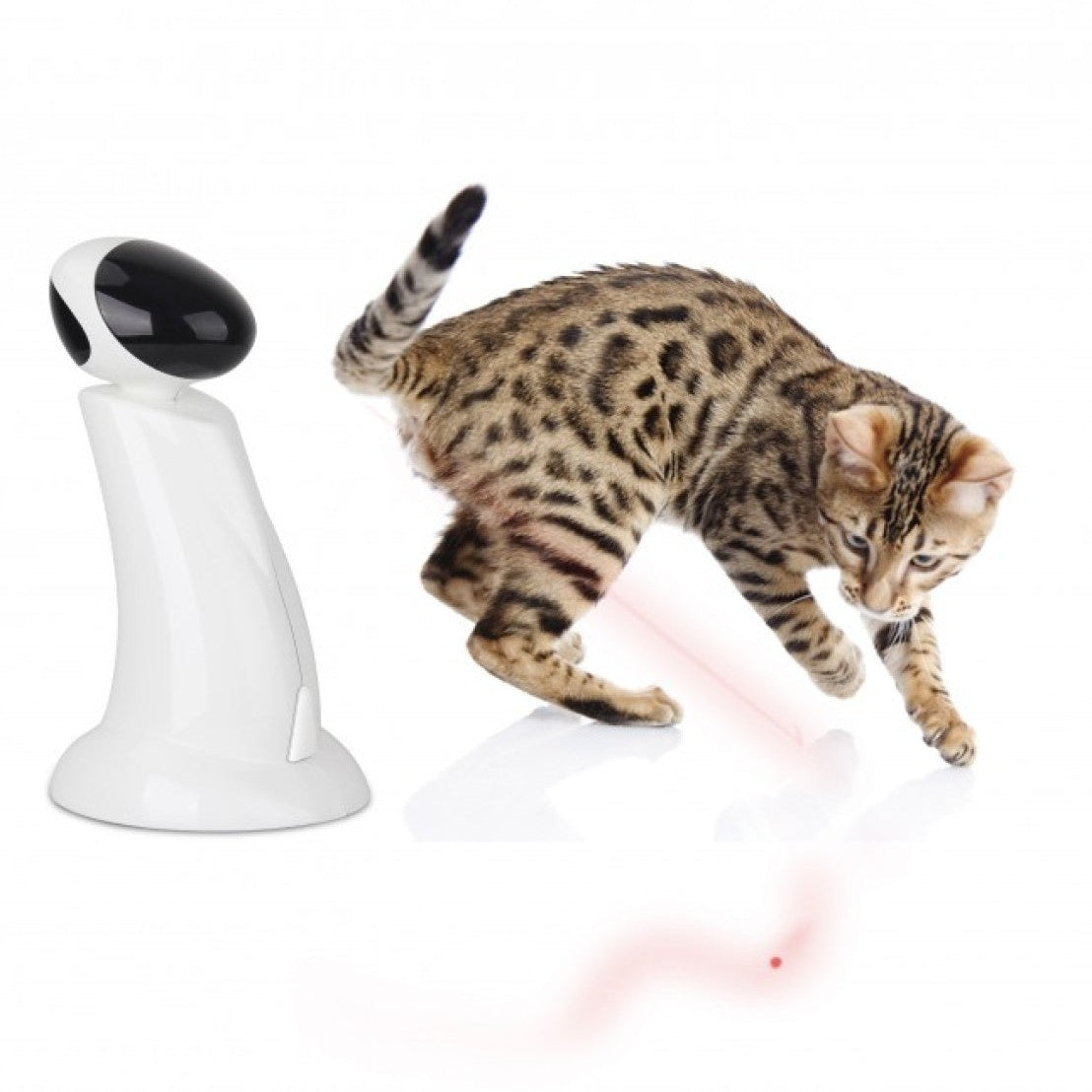 Lazer Beam Cat Toy