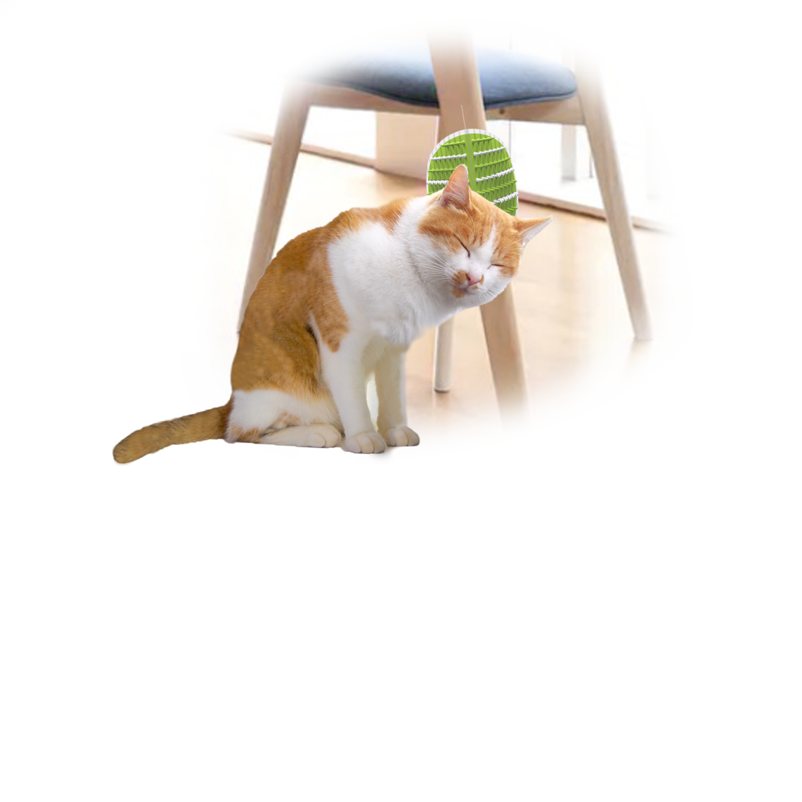 Lifestyle 4 Pets 2-in-1 Groomer