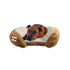 Luxury Lounge Bed Tan Medium