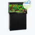 Rio 125 LED Black