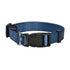Access Collar - Blue / Large