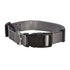 Access Collar - Grey / Small