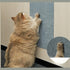Cat Climbing Mat