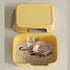 Fully Enclosed Square-Mouth Door Cat Litter Box