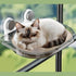 Cat Hammocks