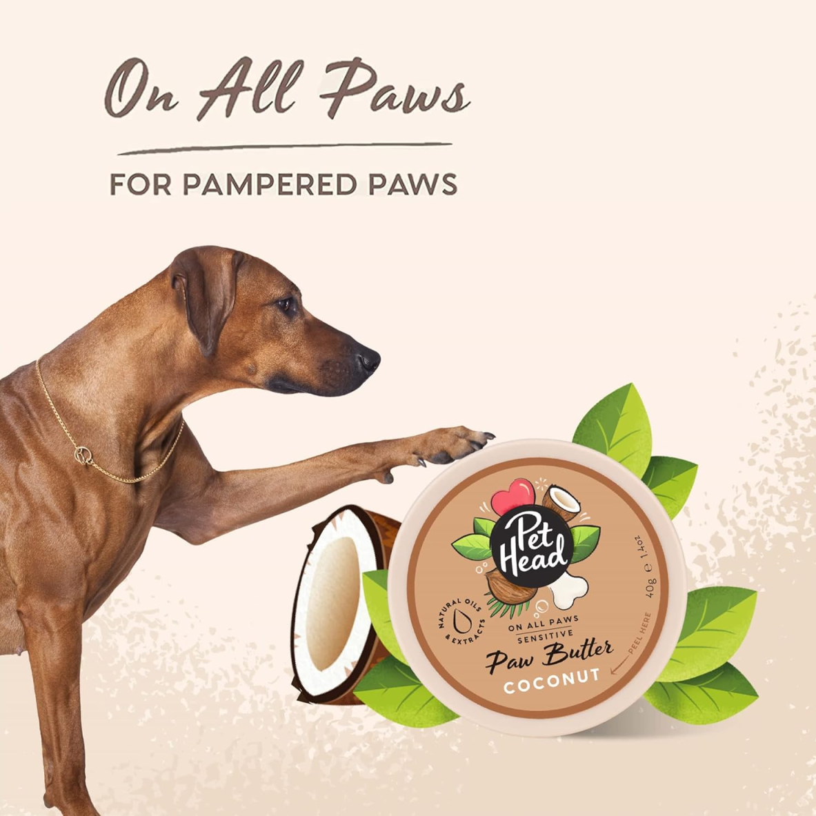 Pet Head On All Paws Coconut Paw Butter 40 g