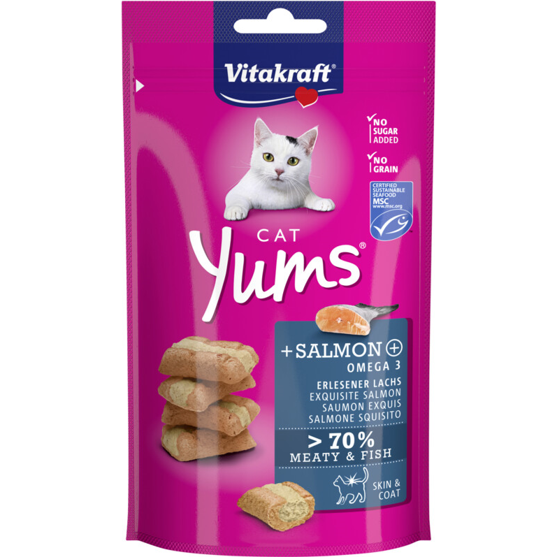 Vitakaraft Yums Salmon And Omega 3 40G