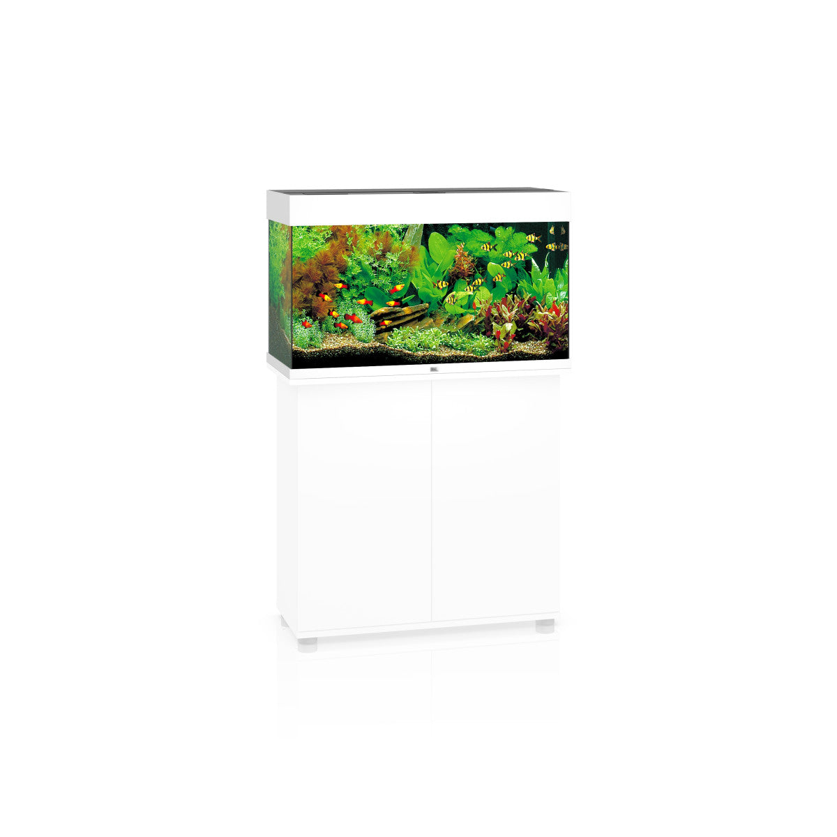 Rio 125 LED White