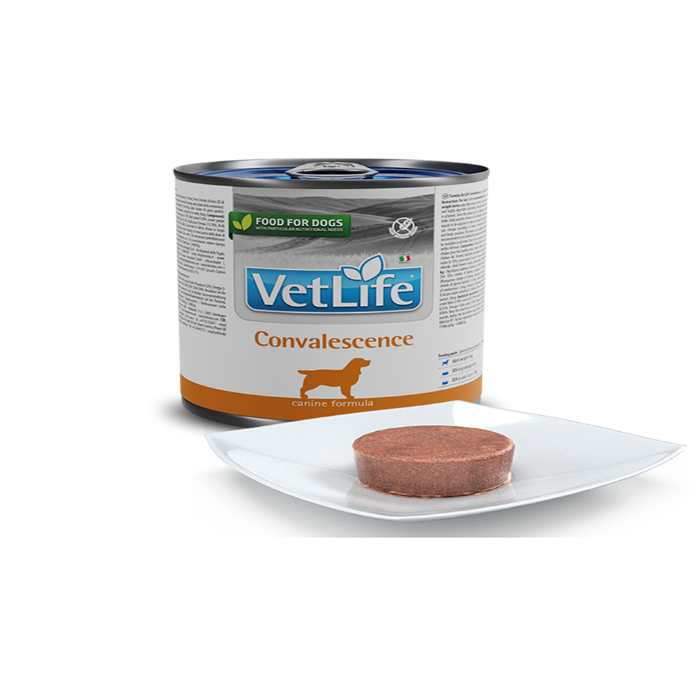 Farmina Vet Life Natural Diet Dog Convalescence 300gx6pcs