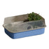 Popular Turtle Tank