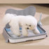 Whale Oversized Drawer Dog Toilet