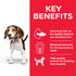 Hill`s Science Plan Medium Puppy Food With Chicken (2.5kg)