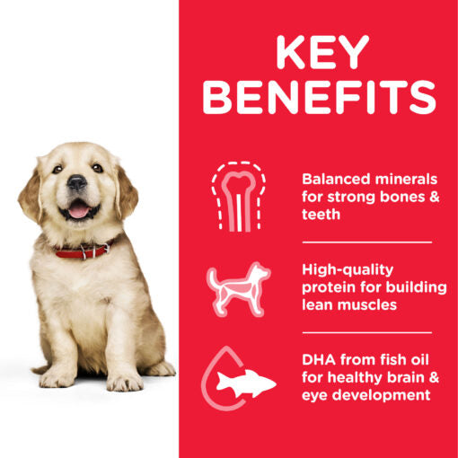Hill`s Science Plan Large Breed Puppy Food With Chicken (2.5kg)