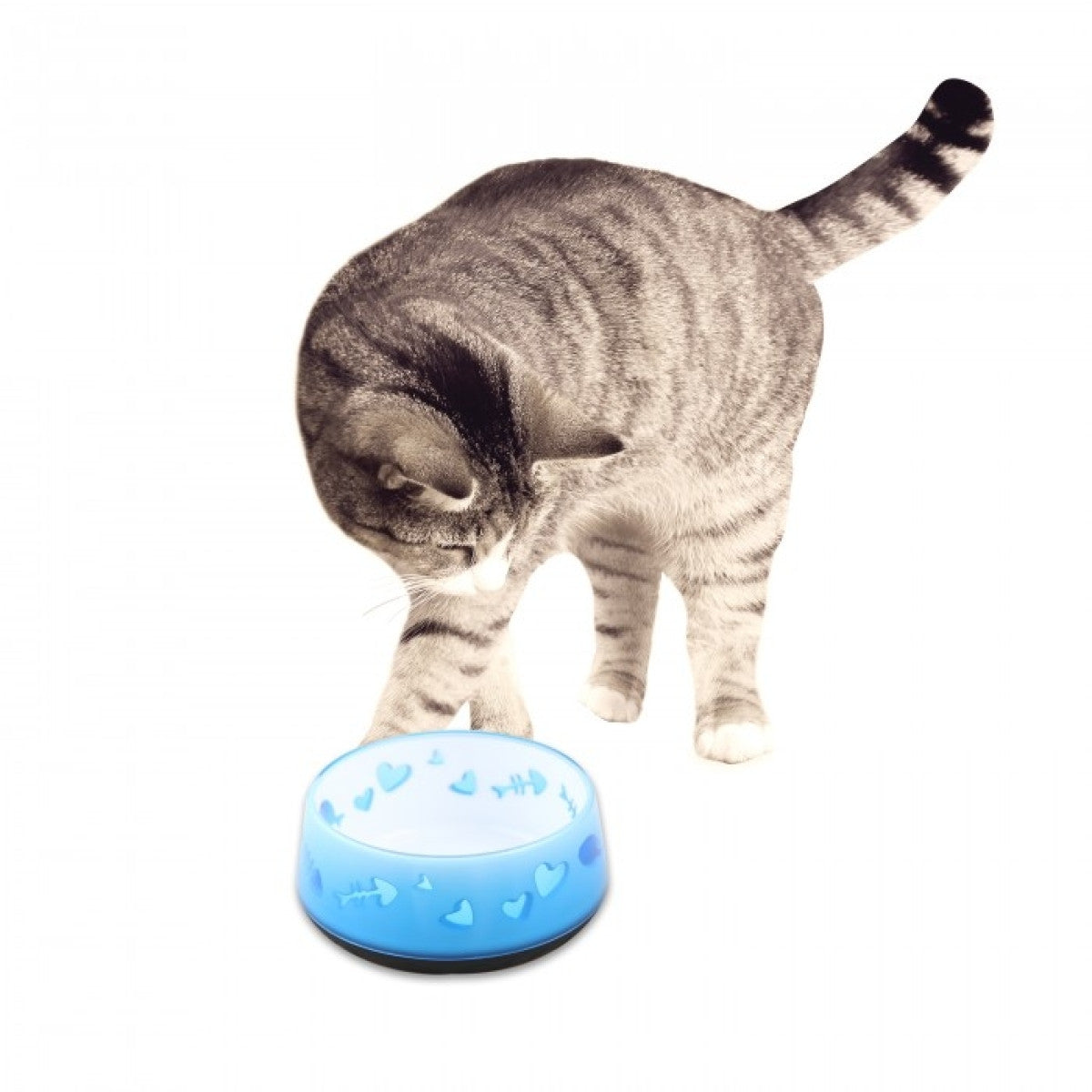 Cat Love Bowl Blue