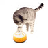 Cat Love Bowl Orange