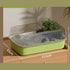 Popular Turtle Tank
