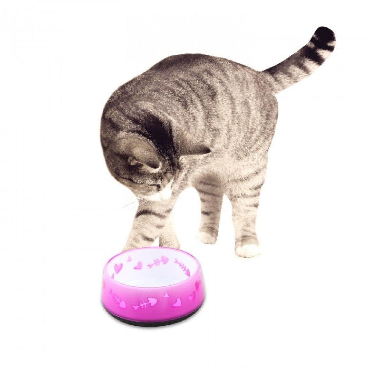 Cat Love Bowl Pink