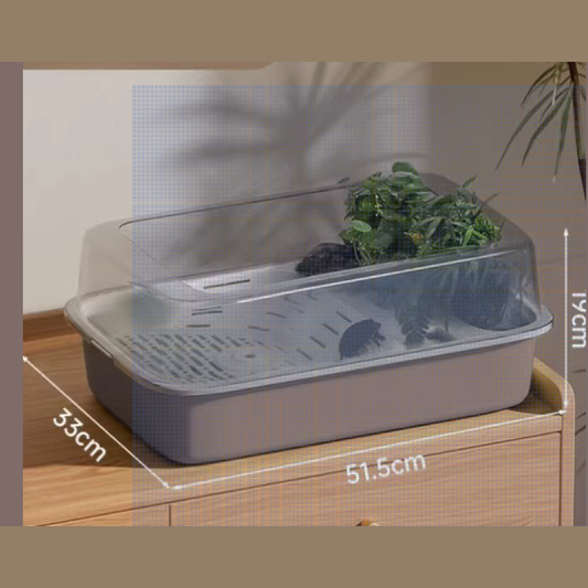Popular Turtle Tank