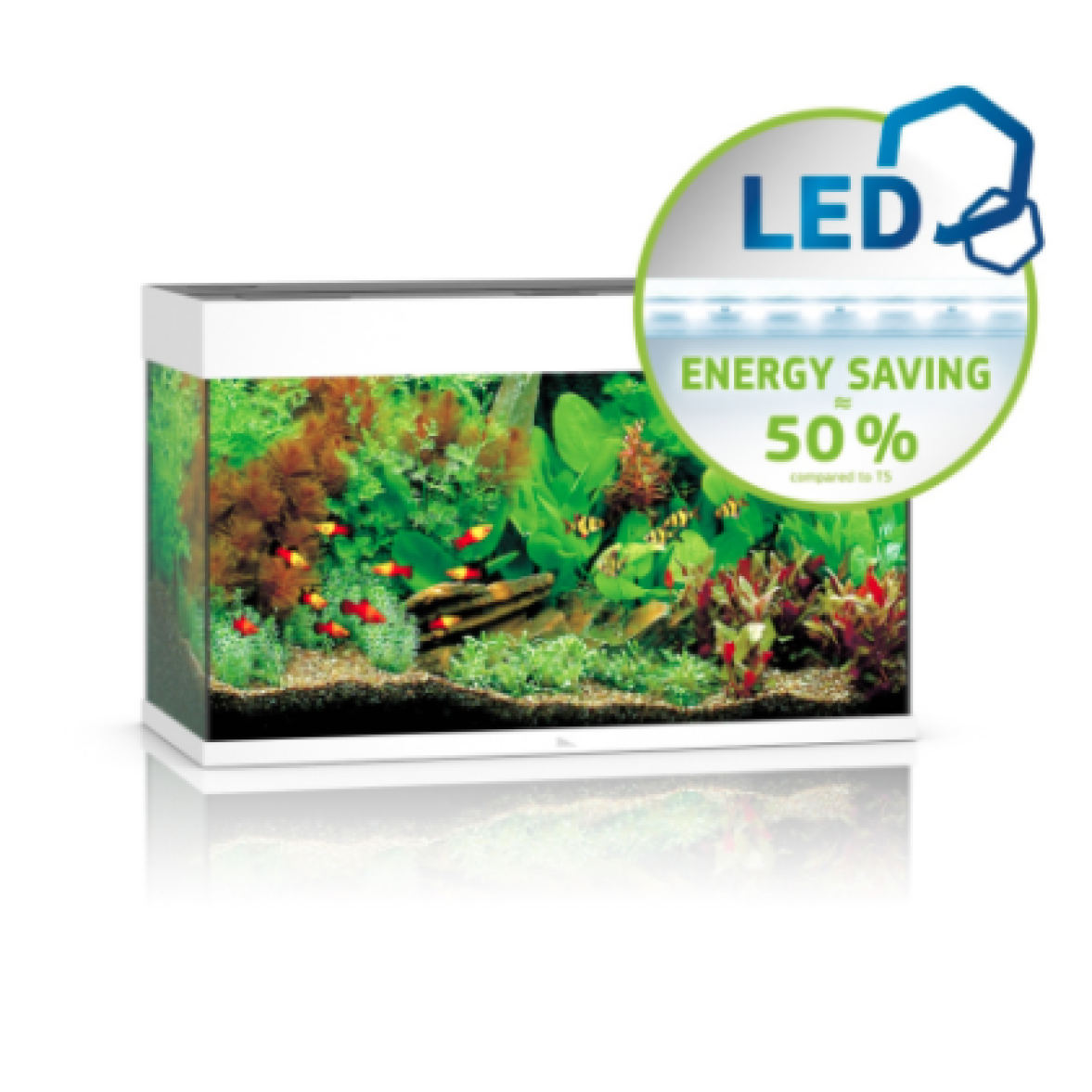 Rio 125 LED White
