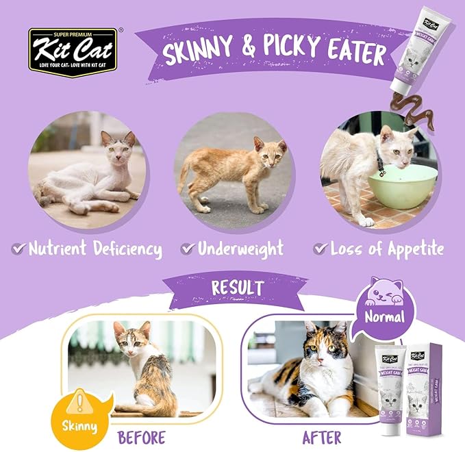 Kit Cat Daily Supplement Gel 120g Weight Gain