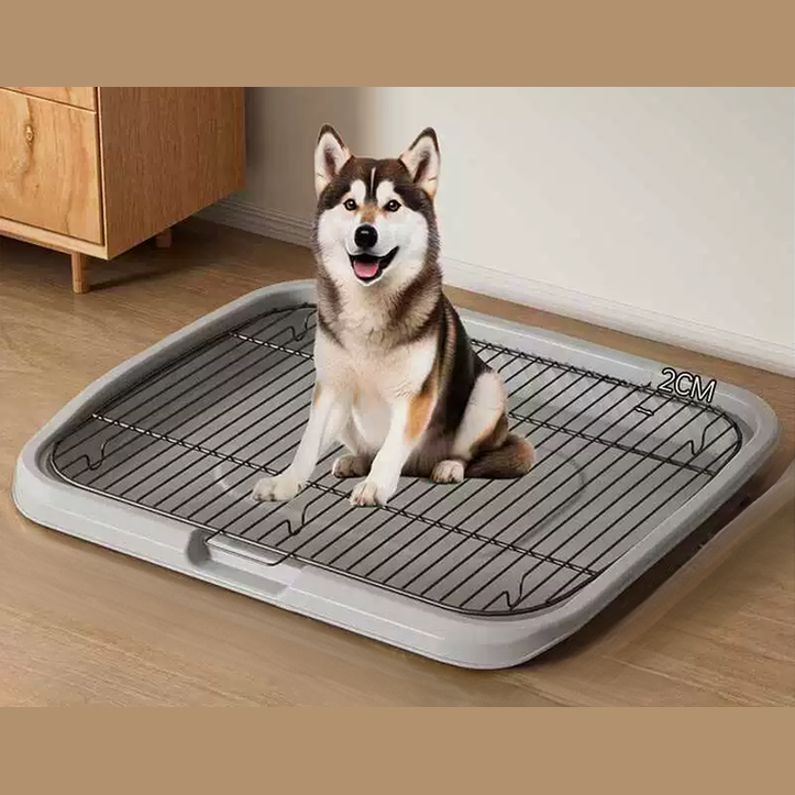 The Popular Iron Mesh Flat Dog Toilet